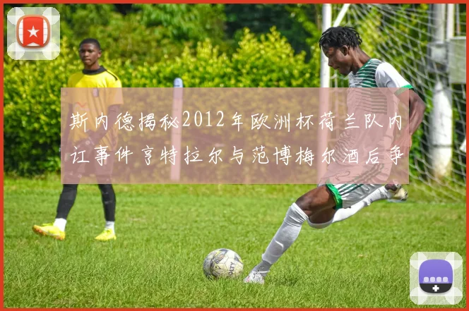 斯内德揭秘2012年欧洲杯荷兰队内讧事件亨特拉尔与范博梅尔酒后争执内幕